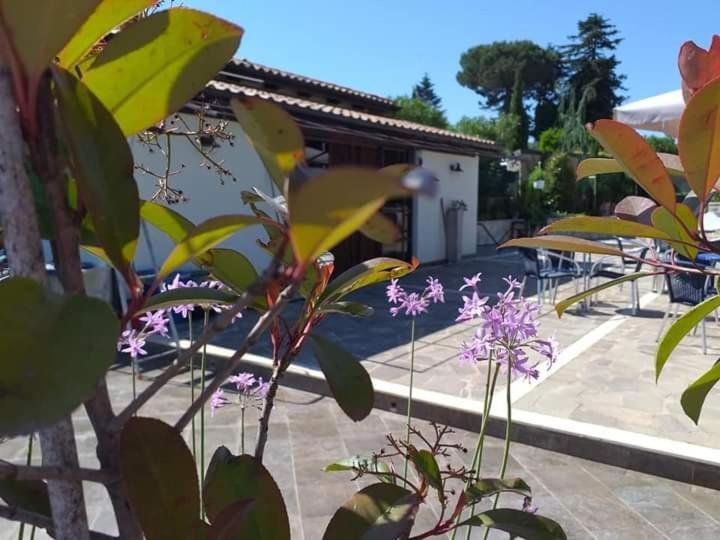 Borgo Nicoletta Case Per Le Vacanze Filandari Kültér fotó